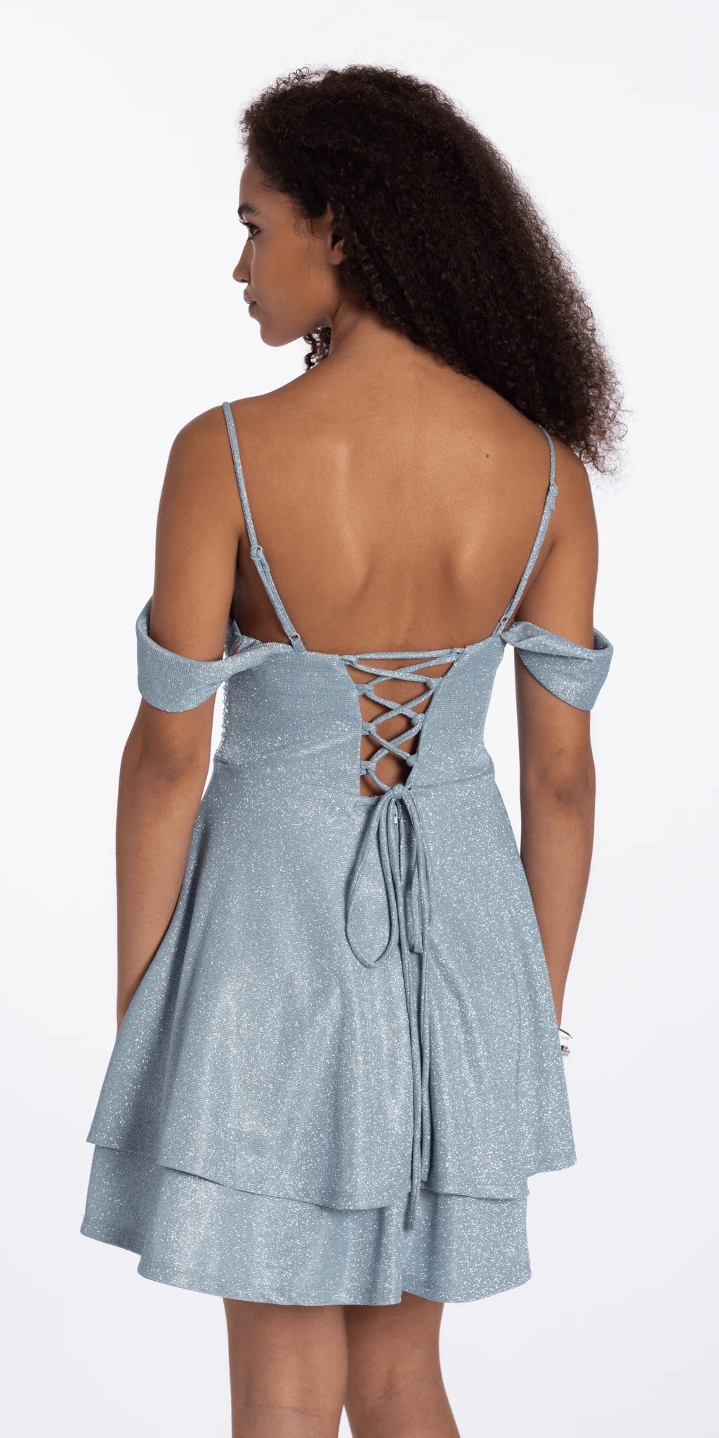 Shimmer Off the Shoulder Embellished Corset Fit and Flare Dress