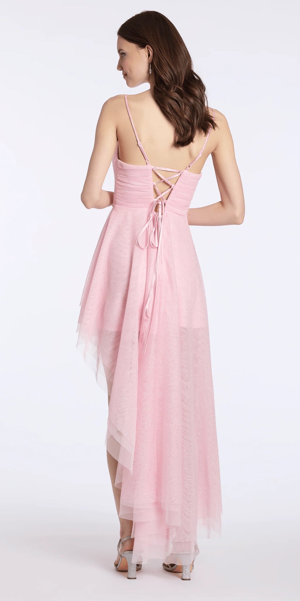 Glitter Mesh Scoop Neck Asymmetric High Low Dress
