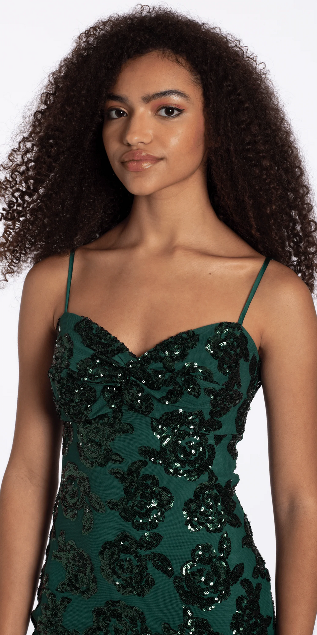 Rose Sequin Mesh Sweetheart Bodycon Dress