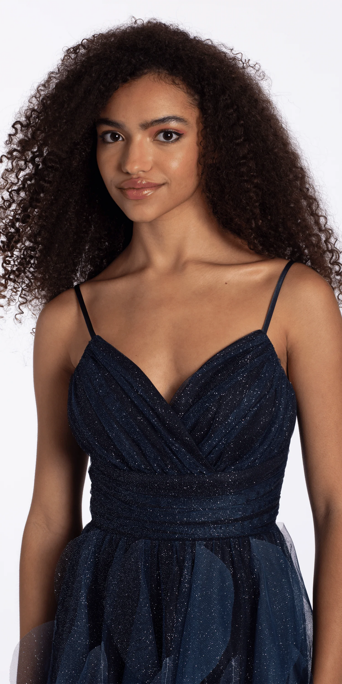 Ombre Glitter Mesh Empire Fit and Flare Dress