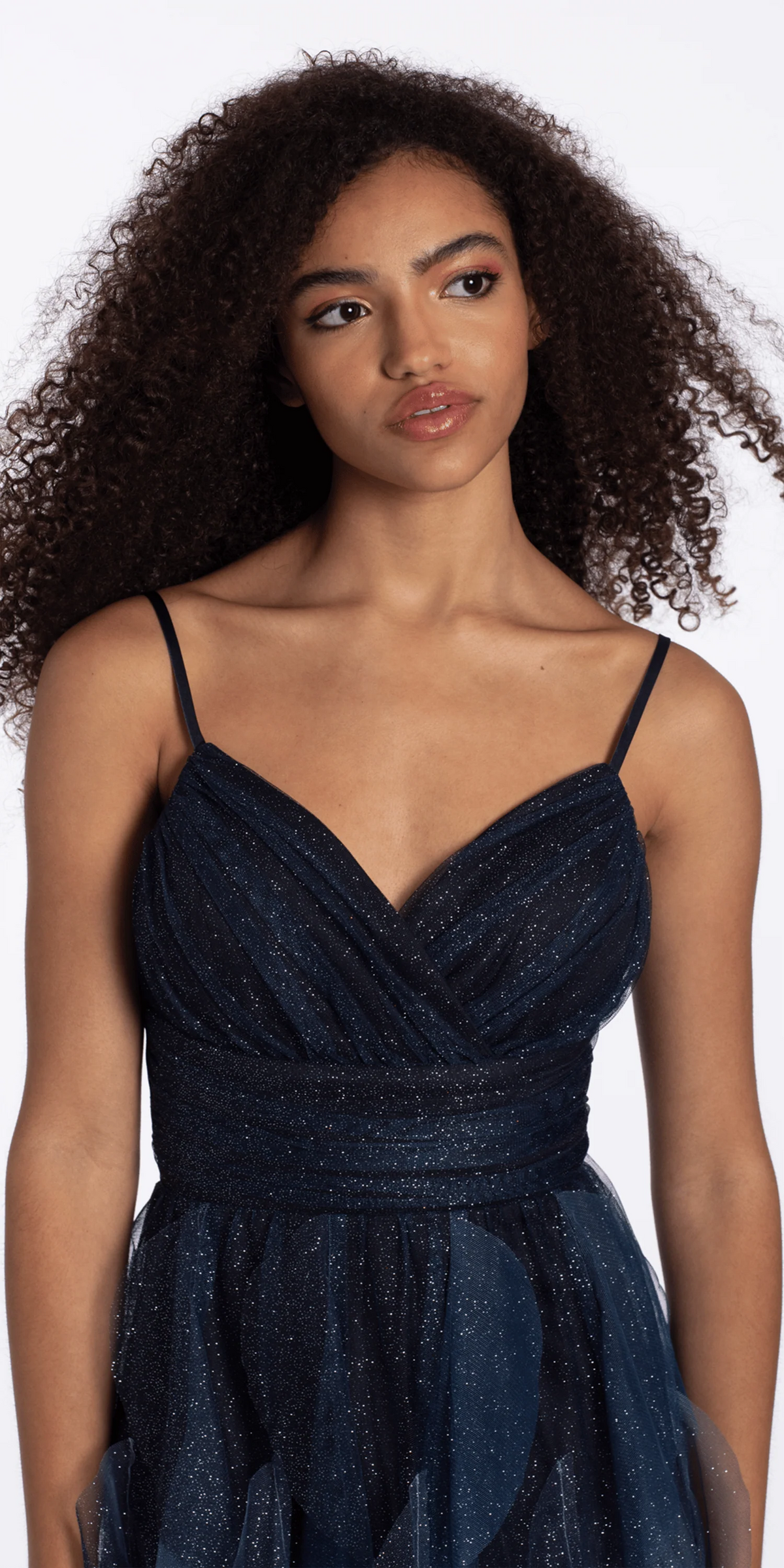 Ombre Glitter Mesh Empire Fit and Flare Dress
