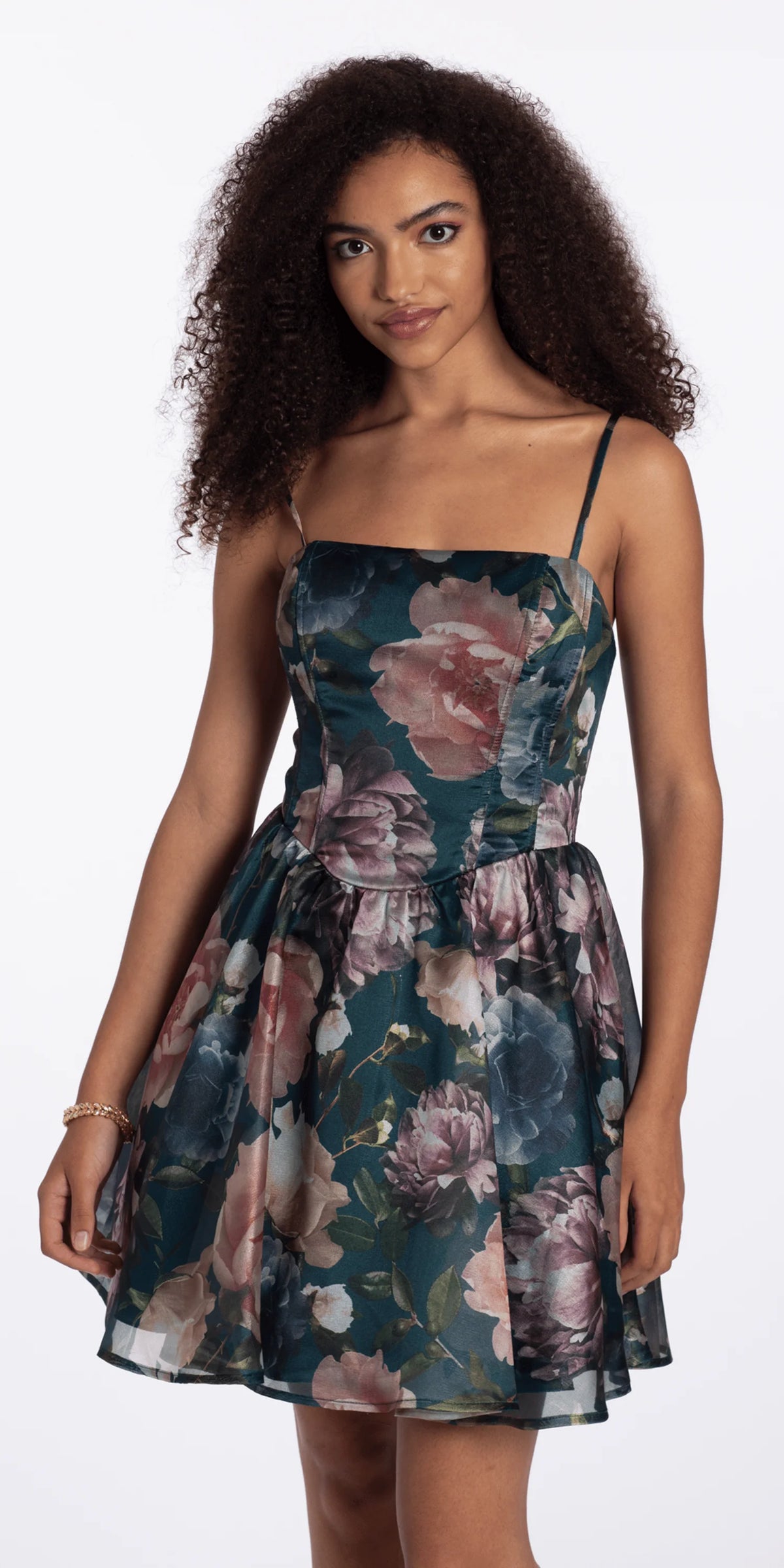 Organza Corset Floral Print Fit and Flare Dress