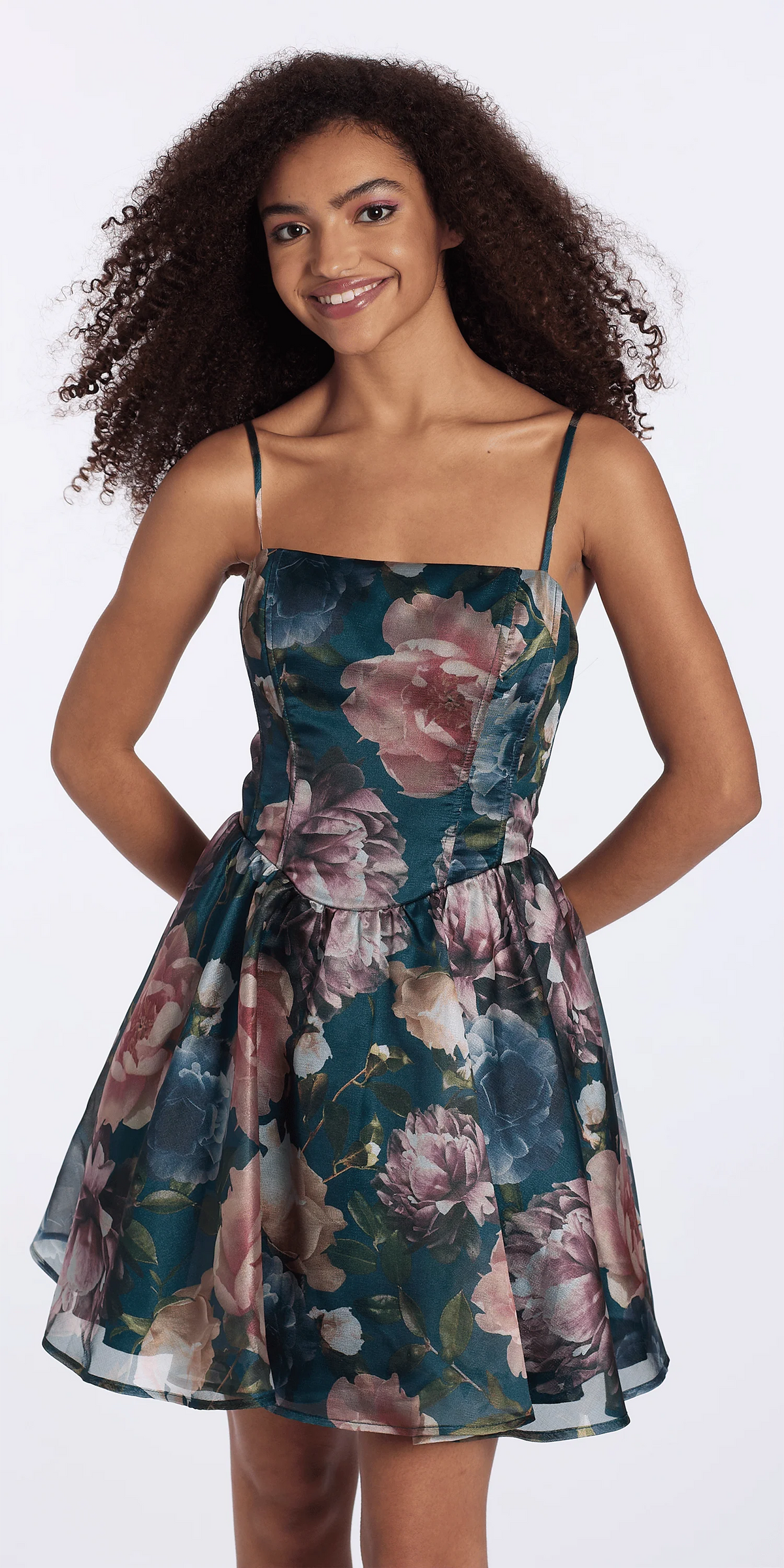 Organza Corset Floral Print Fit and Flare Dress